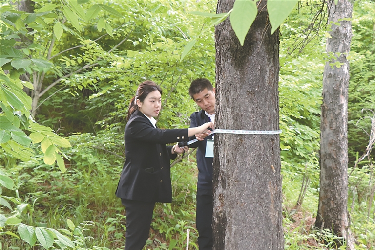 1719718273117170.jpg 673b585168beaaef2ea6ae526fefbe30_W020240630235690154351.jpg