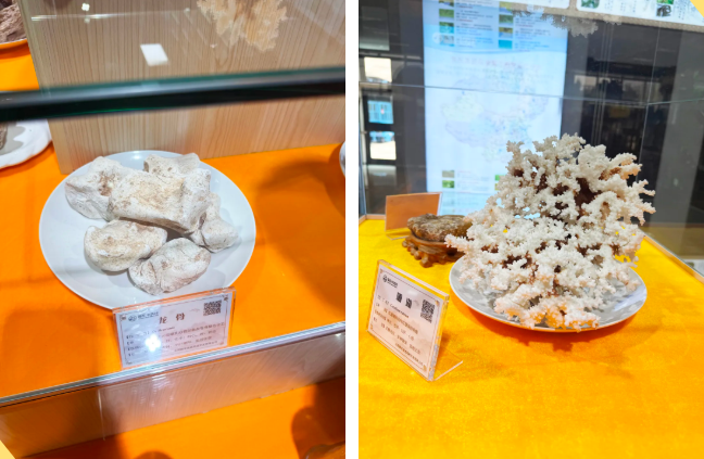 1770614651539462.png image.png