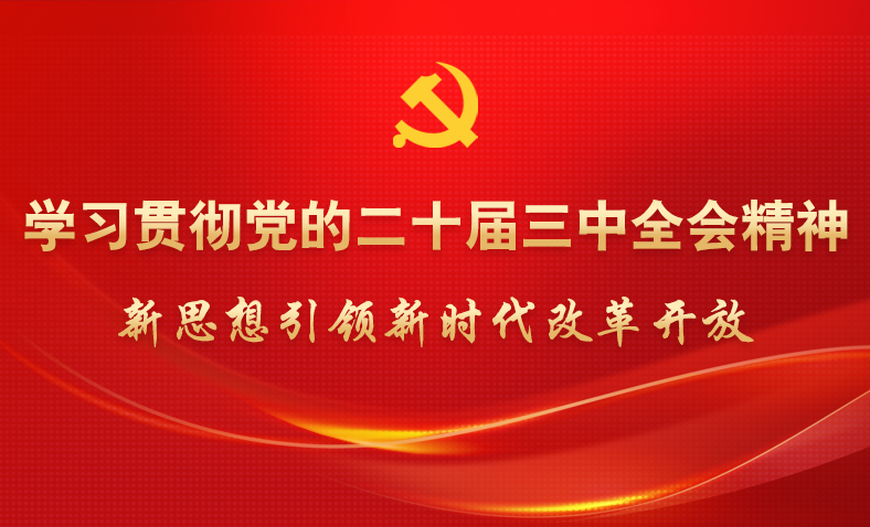 学习贯彻党的二十届三中全会精神
