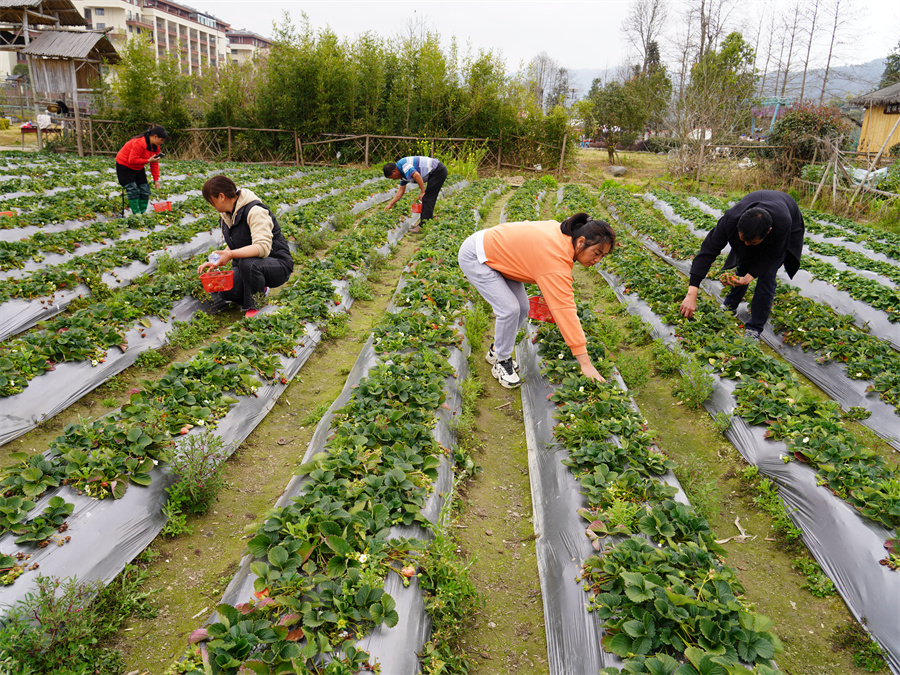 1719719647487562.jpg 2cc8106fbb2460094aa492f3b935dd60_928e4902-722c-4754-861c-d04aefd6d88e.jpg