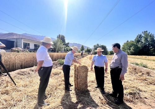 1720167710493016.jpg 7d72cdc7ce7e9a280b2905d1c8432608_1720166048487828.jpg