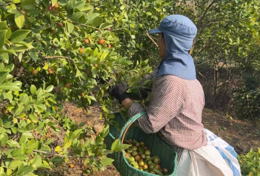 1734568235313977.png image.png