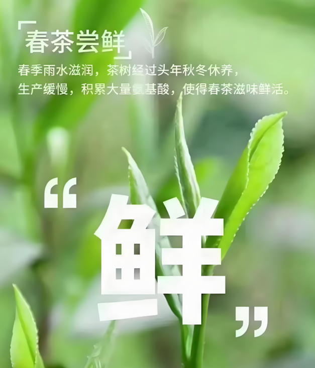 1741571183344330.jpg 1741570904276.jpg