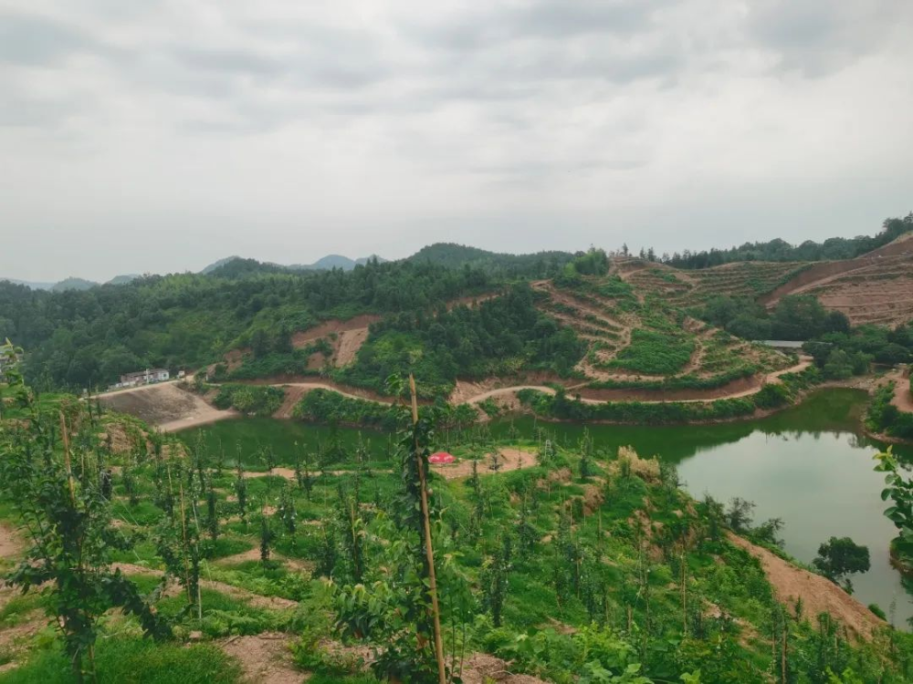 1752823860461391.png 图片2.png