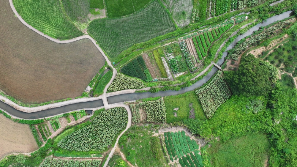 1752824140621606.png 图片1.png